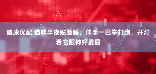 盛康优配 猫咪半夜贴脸睡，伸手一巴掌打跑，开灯看它眼神好委屈