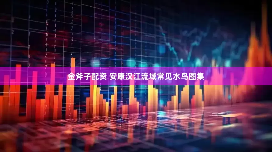 金斧子配资 安康汉江流域常见水鸟图集