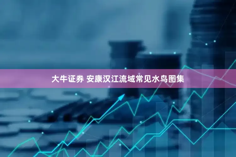 大牛证券 安康汉江流域常见水鸟图集