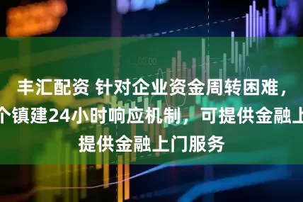 丰汇配资 针对企业资金周转困难，闵行这个镇建24小时响应机制，可提供金融上门服务