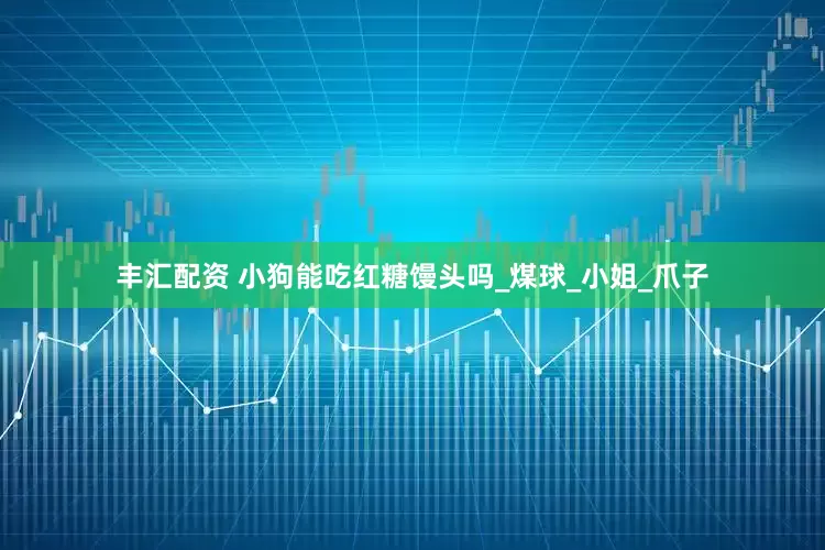 丰汇配资 小狗能吃红糖馒头吗_煤球_小姐_爪子