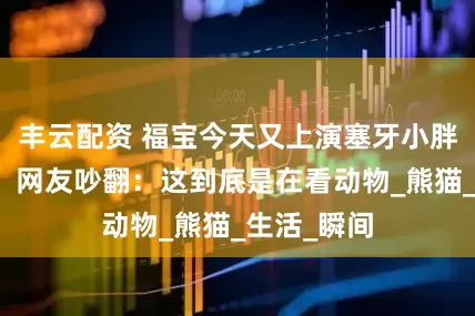 丰云配资 福宝今天又上演塞牙小胖墩名场面，网友吵翻：这到底是在看动物_熊猫_生活_瞬间