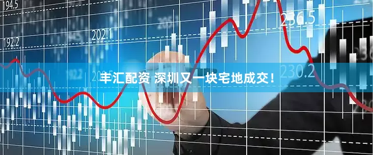 丰汇配资 深圳又一块宅地成交！