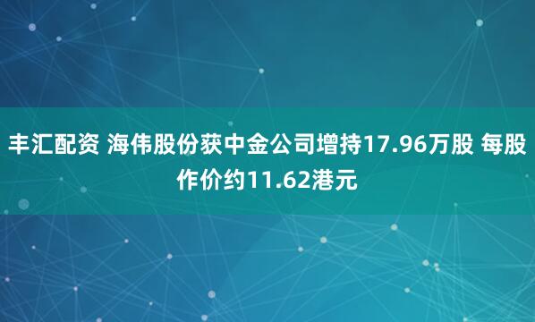 丰汇配资 海伟股份获中金公司增持17.96万股 每股作价约11.62港元