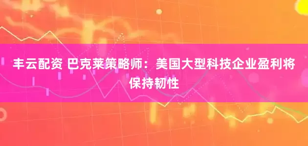 丰云配资 巴克莱策略师：美国大型科技企业盈利将保持韧性